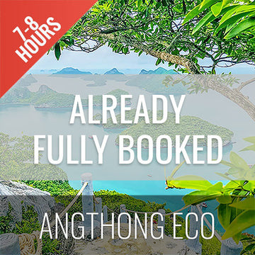 Angthong Marine Park Full-Day Big Boat Tour - kohsamui.tours
